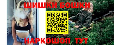 крисы Новозыбков