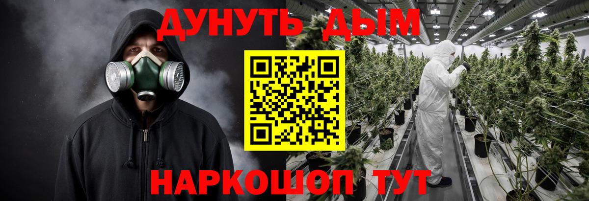 Бошки марихуана ГИДРОПОН  Марихуана сатива  Тайшет  Каннабис тримм  Вход с VPN 